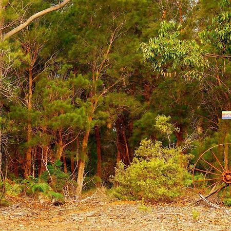 Rainbow Trail Chalets Pemberton Luaran gambar